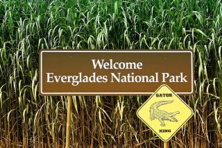Dominique Evéquoz nous embarque au parc national des Everglades